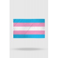 Bandeira Trans
